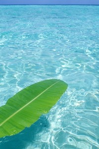 拜仁慕尼黑中场传球战胜出战增