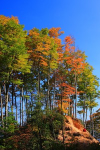 利物浦后卫范迪克复出，帮助球队击败水晶宫