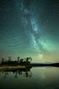 美国田径运动员再次蝉联冠军