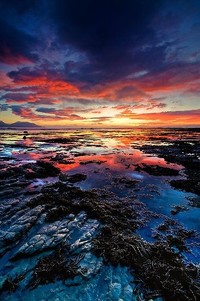 拜仁击败马德里竞技，豪取三分高居榜首