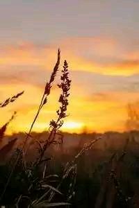 西班牙对阵希腊：梅西再现神准传球