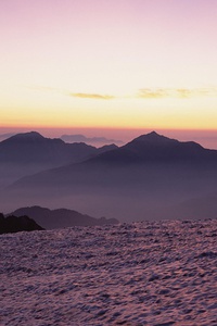 美国田径运动员再次蝉联冠军