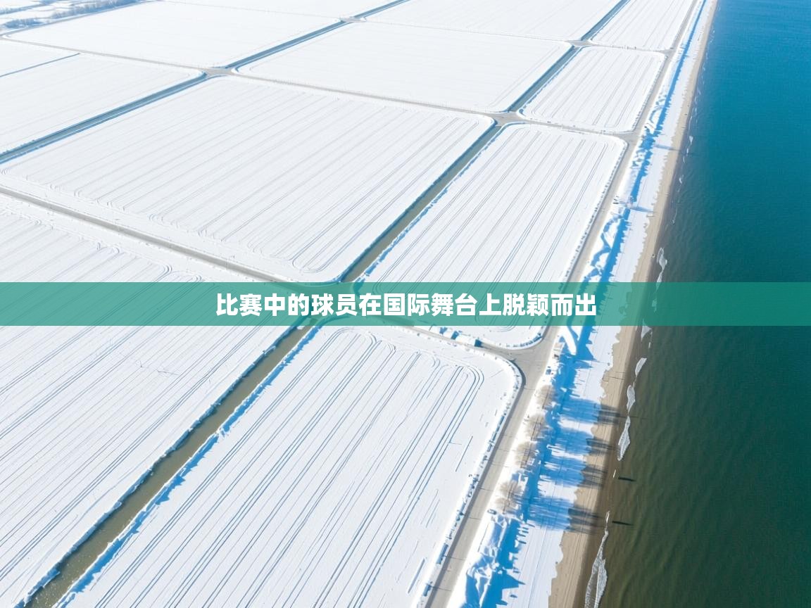 比赛中的球员在国际舞台上脱颖而出